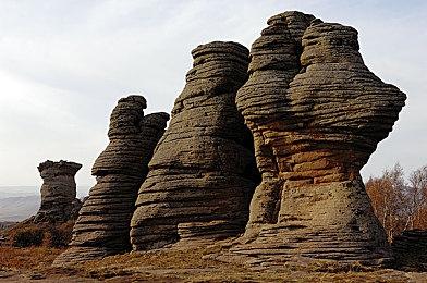 凯特·布兰切特：演《指环王》三部曲没赚到什么钱